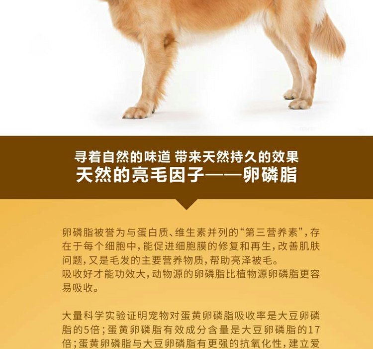 Bạn thú cưng Shi Lecithin làm đẹp tóc dinh dưỡng sức khỏe sản phẩm chó lông hạt làm đẹp mèo và chó phổ quát Jin Mao Teddy Samoyed sữa cho chó con rẻ