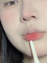 Details of the atmosphere flortte flowers fall Lilia fog lip pen lip liner peach oolong color pure desire lipstick female