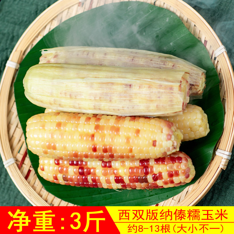 Dai glutinous corn (3 catties affordable pack) Yunnan Xishuangbanna Dai people's sweet and fragrant sticky corn, freshly cooked and packaged