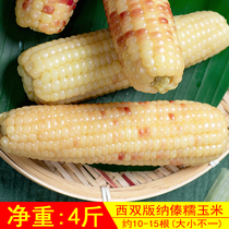 Dai waxy corn (flower tender) Yunnan Xishuangbanna sweet sticky small bag valley freshly cooked 4 pounds