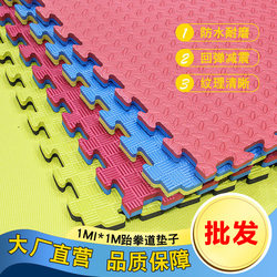 Professional Taekwondo Floor Mat 3.0 thickened Non Slip Street Dance Hall Mat Wushu Sanda Training Gym Mat 1 m