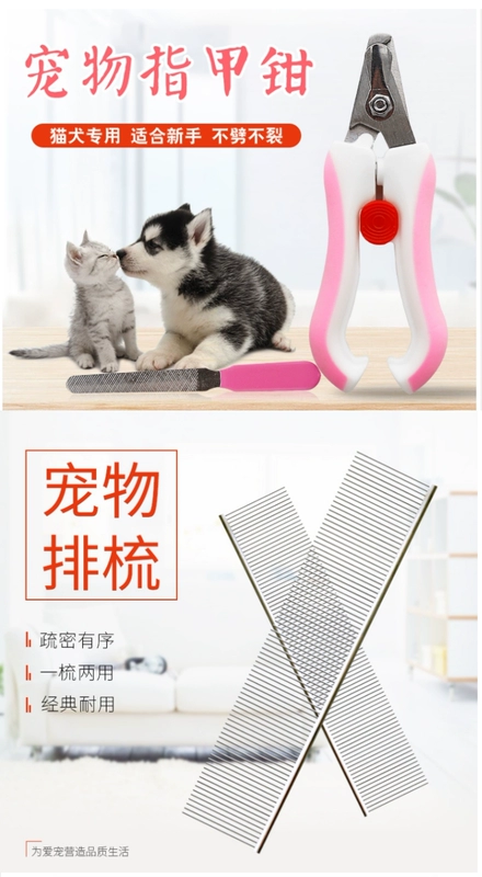 Pet kim chải chó chải lông chó chải lông tắm Teddy chó lớn và mèo lông chải thú cưng cung cấp lược - Cat / Dog Beauty & Cleaning Supplies