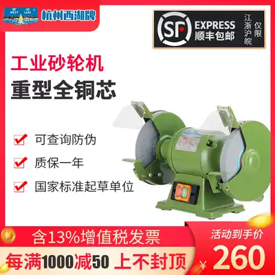 Hangzhou West Lake desktop vertical floor environmental protection dust removal grinder industrial grade heavy duty sharpener metal grinding