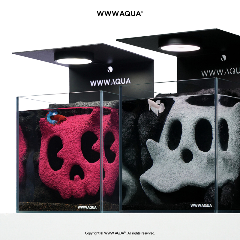 K11 X Wwwaqua Ghost Horse Series Cp Combination Betta Fish Tank Landscaping Ecological Complete Set for Small Living Room
