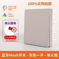 Bluetooth Mesh Main Switch Space Ash Opens (одиночная пожарная версия)