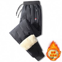 633 серая лучевая нога