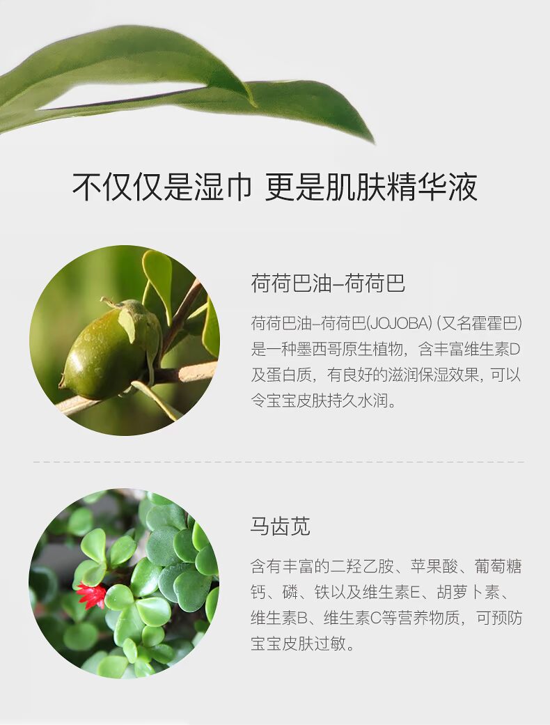 Vua sư tử nhỏ simba tay bé đặc biệt lau trẻ sơ sinh khăn ướt ướt lau 80 bơm có nắp * 6 gói khăn ướt không mùi