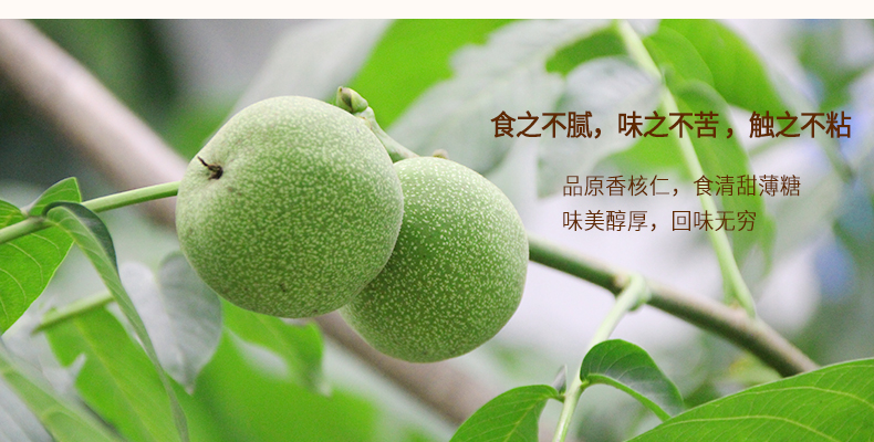 白露珍 琥珀核桃仁 100g*3罐 图2