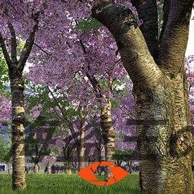 Scanlabz Trees Cherry Tree Boutique Cherry Flower Tree Model Unreal 5 UE4 27