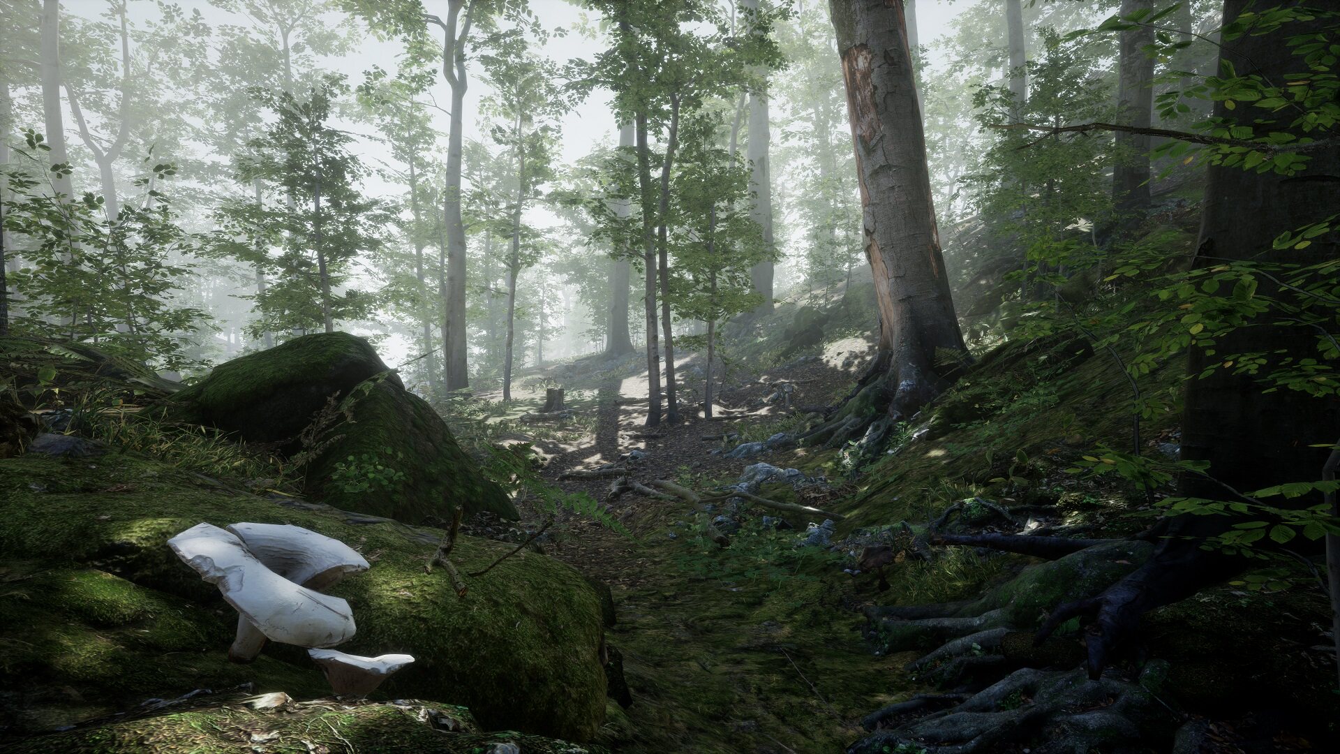 Forest-Environment Set forest plant trees scene Unrealis illusory UE4 27