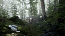 Forest-Environment Set forest plant trees scene Unrealis illusory UE4 27