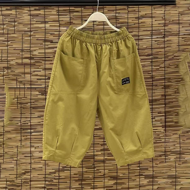 Women's Six-Point Shorts, Summer 2025 New Popular Style, Women's Thin Outerwear Capri Pants, Casual Harem Pants for Women