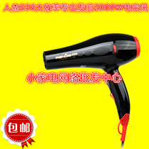 Renjie hair dryer RJ-2200 836 high power hot and cold air hair dryer tube pure copper barbershop household