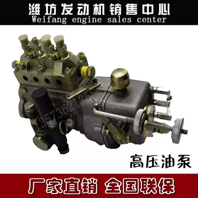 Weifang Weichai Huafeng Diesel Engine Original High Pressure Oil Pump 4100 4102 4105 4108 Diesel Pump