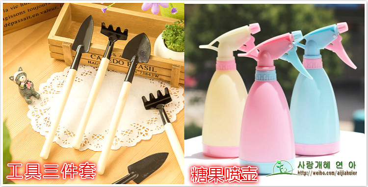 Công cụ trồng mọng nước kết hợp đặt hoa mini làm vườn cung cấp thịt chậu công cụ thịt vòi tưới rau