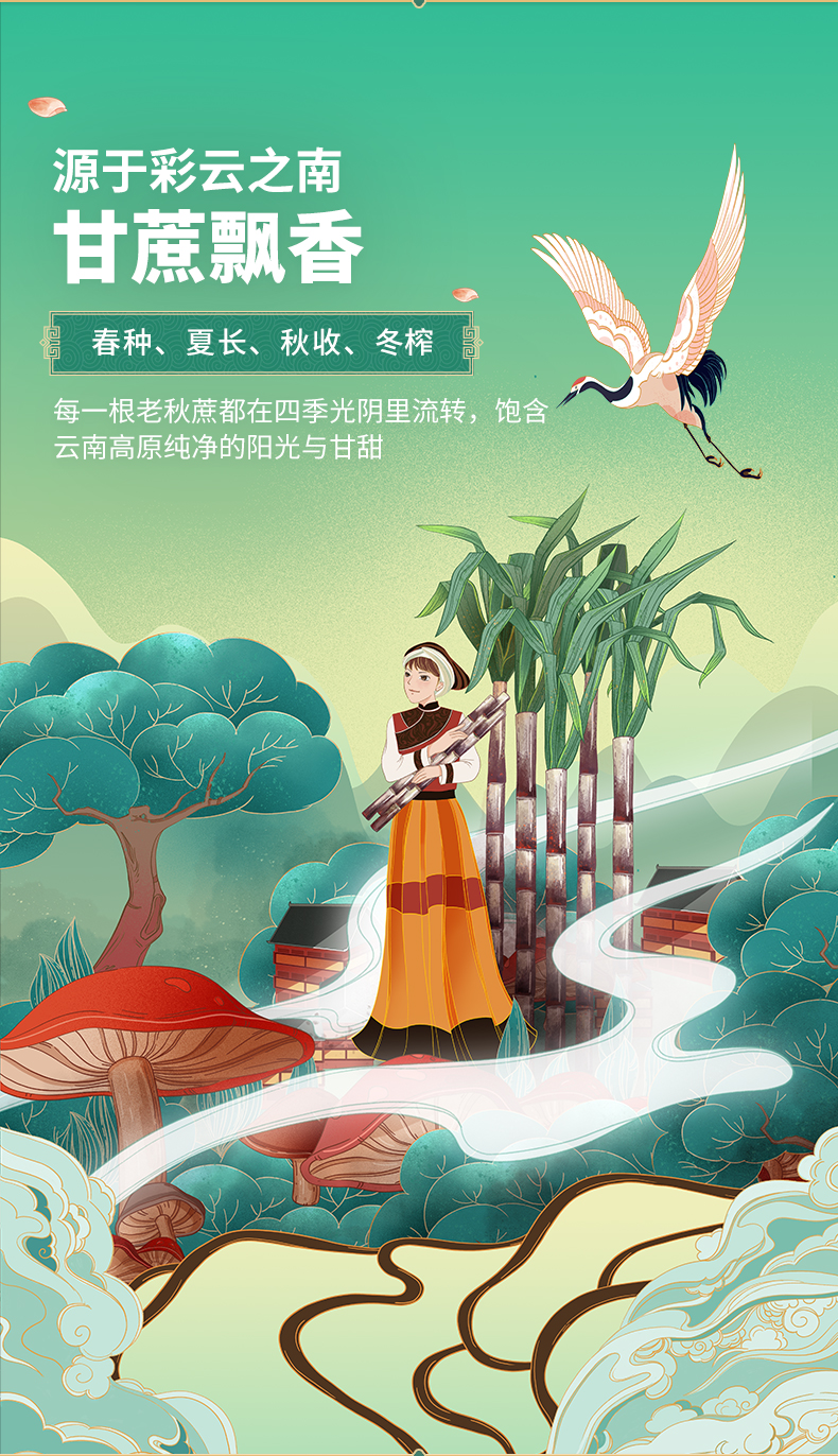 南京同仁堂正品纯手工云南古法土老红糖