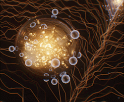 contentImage90_183506