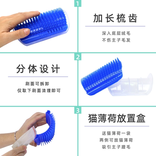 Кошка терьера, кошачья стена, царапина, щекотка, щекотка, волосы, лицо, бюстгатан