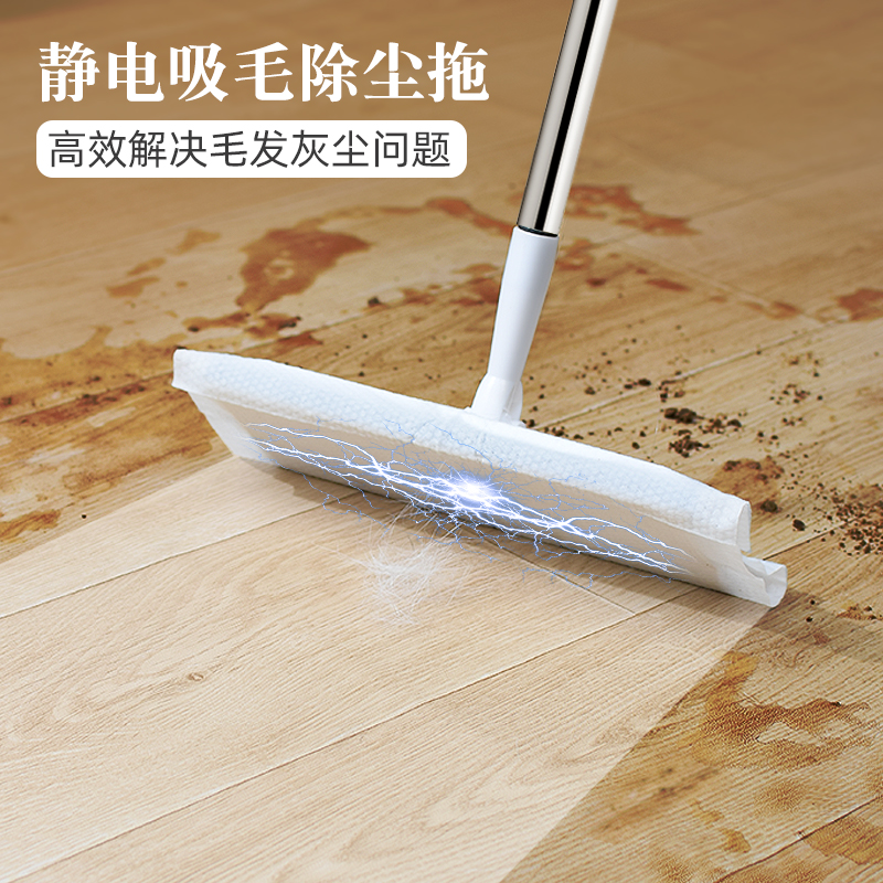 Electrostatic dust removal mop 2021 new lazy peg disposable pet removal household carpet hair cleaner
