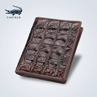 2009-5 коричневая кость спины