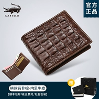 2009-1 коричневая кость