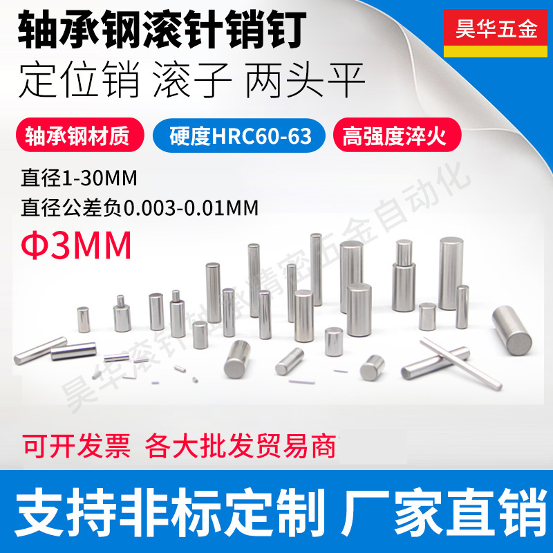 Needle Roller 2*10 3*10 4*10 5*10 6*10 Locating Pin Cylindrical Pin Pin Fixing Pin Roller