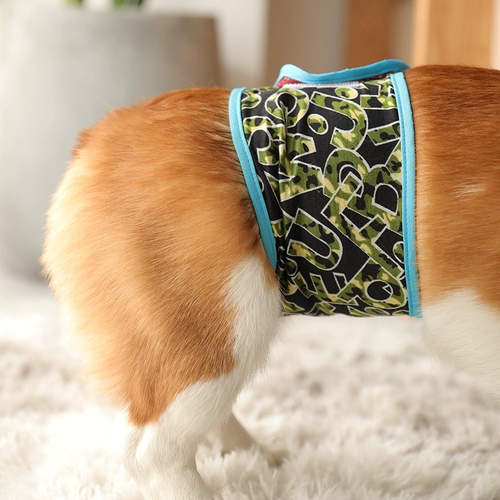 Мужские собаки физиологические штаны Тедди биологический биологический биологический биологический с собаками санитарные брюки.