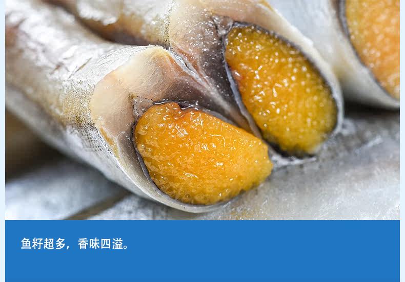 Duchun Fish_05.jpg