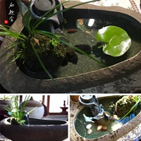 Творческий горячий -вывивая каменный аквариум грубая миска с каменной миской лотопонная цветочная комната дома.