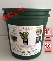 Посадка горшка зеленого цвета