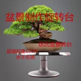 Bonsai Make Tool Bonsai, создающий вращающийся поворотный стол Bonsai Live Turmable Turging, а цветочная композиция - это практичная и бесплатная доставка