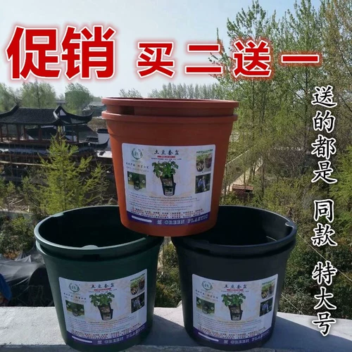 Картофельная посадка горшки для посадки картофеля ведра ведро семейство балкон балкон посадка овощей овощи посадка овощи