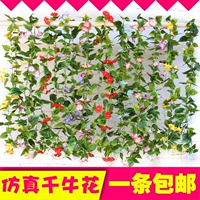 Симуляция утренняя цветочная труба цветочные виноградные виноградные виноградные винограды Маттерум пластиковая зеленая листья