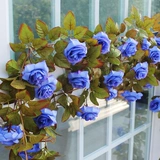 Моделирование трубопровода ротана, винограда, виноградная виноградная кондиционирование