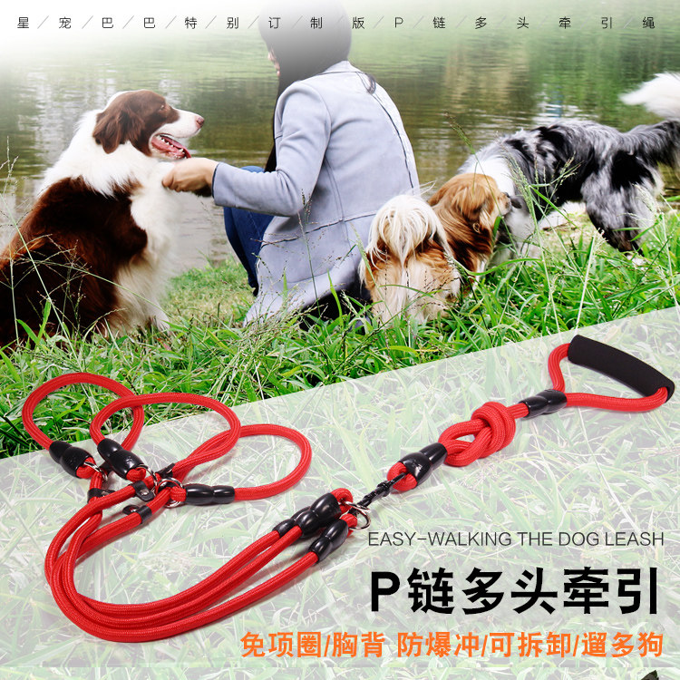 Two dogs drag two traction rope, one drag three-plus-plus P-chain walking dog rope small dog Teddy Golden Dog chain