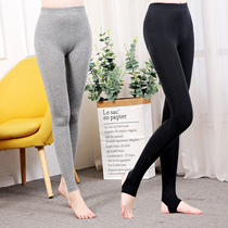 Autumn and winter modal leggings women inside and outside wear thin nine points slim trousers tight trousers large size gray foot pants