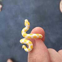 Snake ring for women niche design cute ball python adjustable snake ring original non-fading