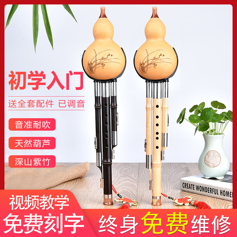 Zizhu cucurbit C downgrade B adult beginner male and female self-study performance three-tone