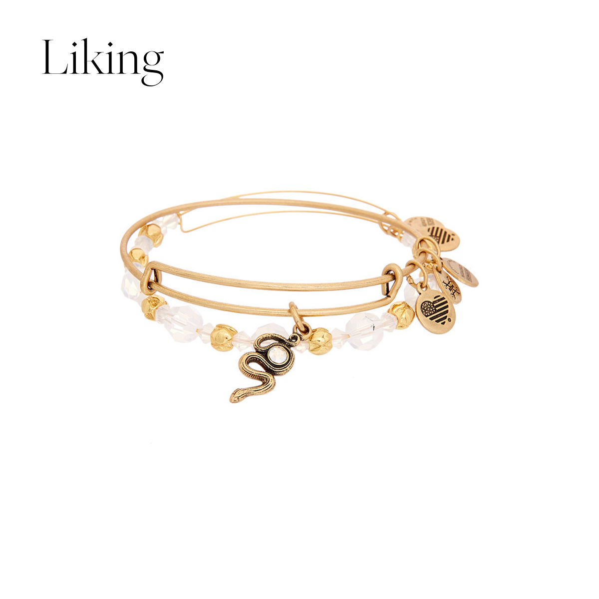 Chaine de cheville - Ref 3104534 Image 1