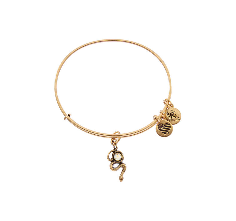 Chaine de cheville - Ref 3104534 Image 10