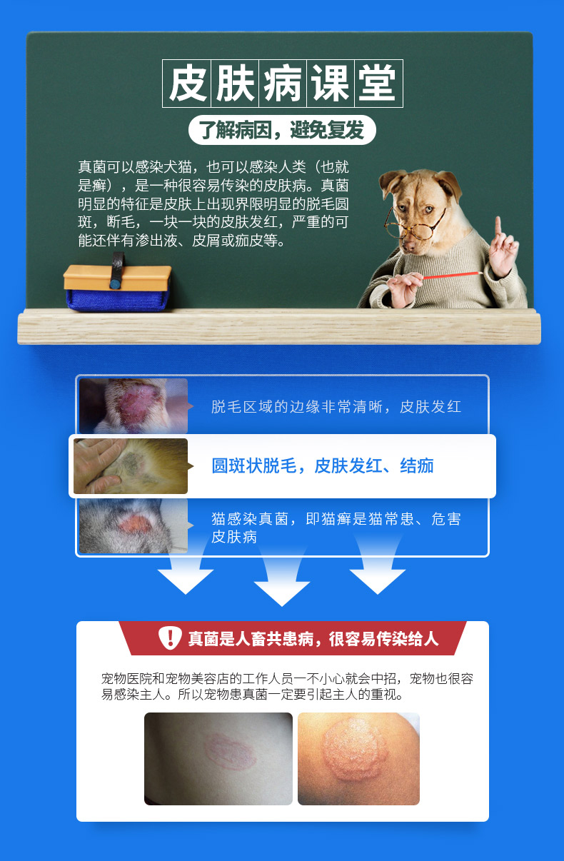 Golden Shield Pitphen Spray Dog Skin Bệnh Pet Pet Fungus Rệp bị nhiễm bệnh Ngoài mèo và Mèo - Cat / Dog Medical Supplies xilanh tiêm