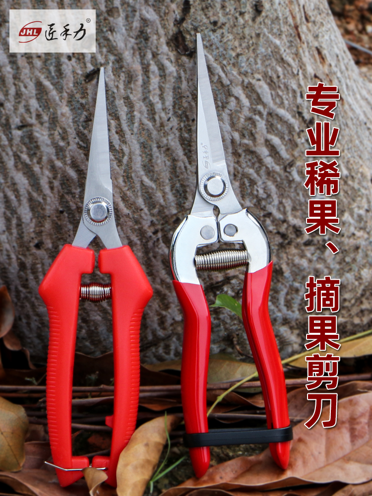 Grape sparse fruit special scissors Gardening sparse flower repair fruit scissors Fruit picking fruit picking scissors Fruit citrus sawtooth orchard scissors