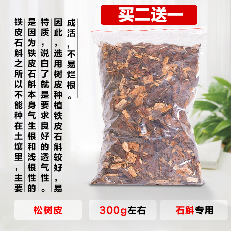 Jiangnan Maple Dendrobium Candidendrobium dendrobium Dendrobium Dendrobium dendrobium Dendrobium Candidum domesticated germplasm gardening tools