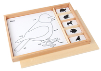 Montessori teaching aids Montessori teaching aids Montessori Animal three-stage card Animal plant three-stage card Three-part card