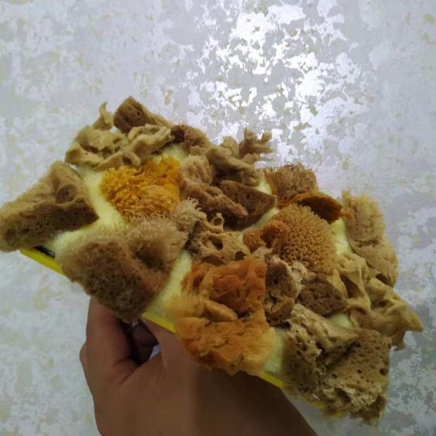 Natural seaweed cotton brushed removable wash sponge Mirage Flowers Pearlescent Lacquered Ceiling Wall Art Paint Factory