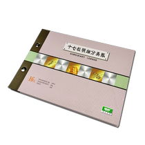 Qianglins seventeen-column detailed ledger 17-column multi-column detailed ledger accounting ledger account book account page account book core full set of financial special account pages loose-leaf accounting book