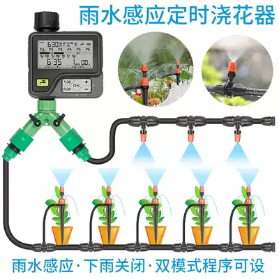 Rain sensor smart timer garden household automatic flower watering device atomizing nozzle spray system tool set