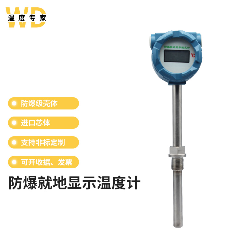 High temperature explosion protection type digital thermometer on the spot display temperature meter boiler chemical anti-corrosive thermometric meter anti-tap