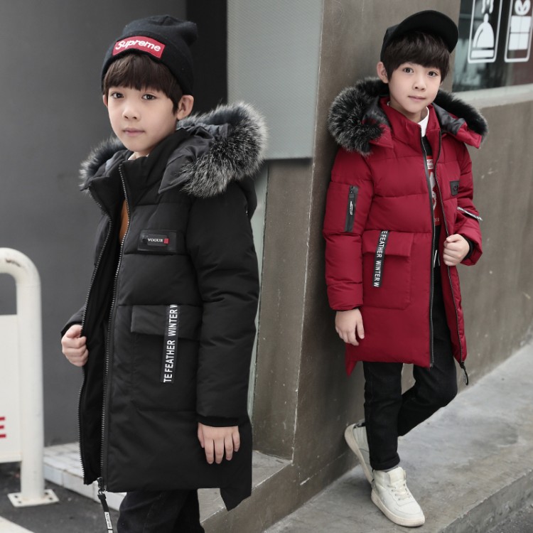 Blouson hiver pour homme   OTHER - Ref 3112415 Image 1