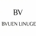 BV轻奢包包店的LOGO